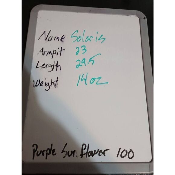 Solaris Shirt Men's Large Gray Button Front - Picture 9 of 9